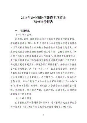 2016年企业家队伍建设专项资金绩效评价报告（山东）.pdf