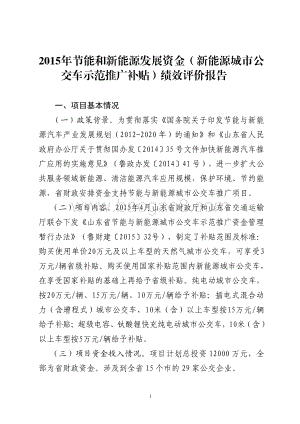 2015年节能和新能源发展资金（新能源城市公交车示范推广补贴）绩效评价报告（山东）.pdf