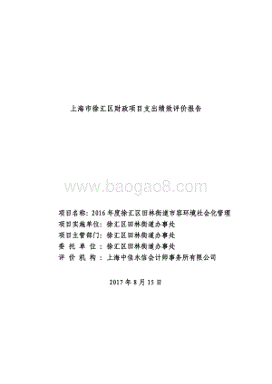 2016 年度徐汇区田林街道市容环境社会化管理绩效评价报告.pdf