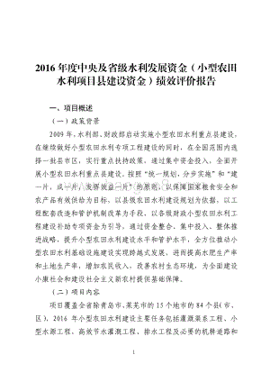 2016年度水利发展资金（小型农田水利项目县建设资金）绩效评价报告（山东）.pdf