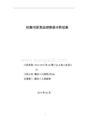 2016-2018年60周岁以上老人生活补贴项目绩效评价报告.doc