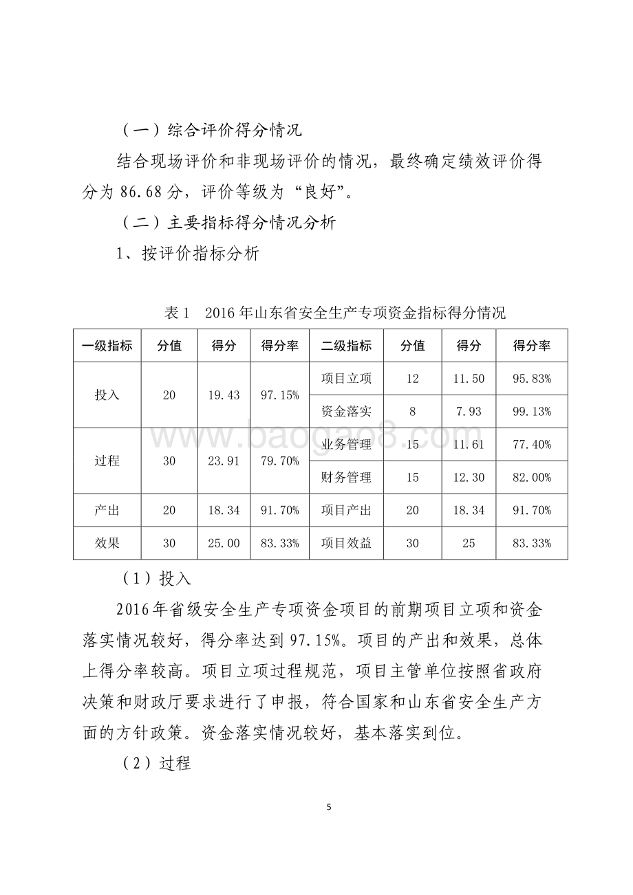 2016年安全生产资金绩效评价报告（山东）.pdf_第5页