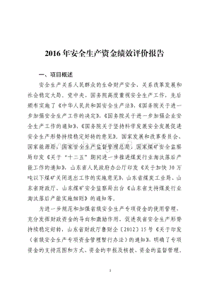 2016年安全生产资金绩效评价报告（山东）.pdf
