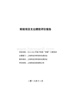 2014-2016 年电子商务“双推”工程项目绩效评价报告.pdf