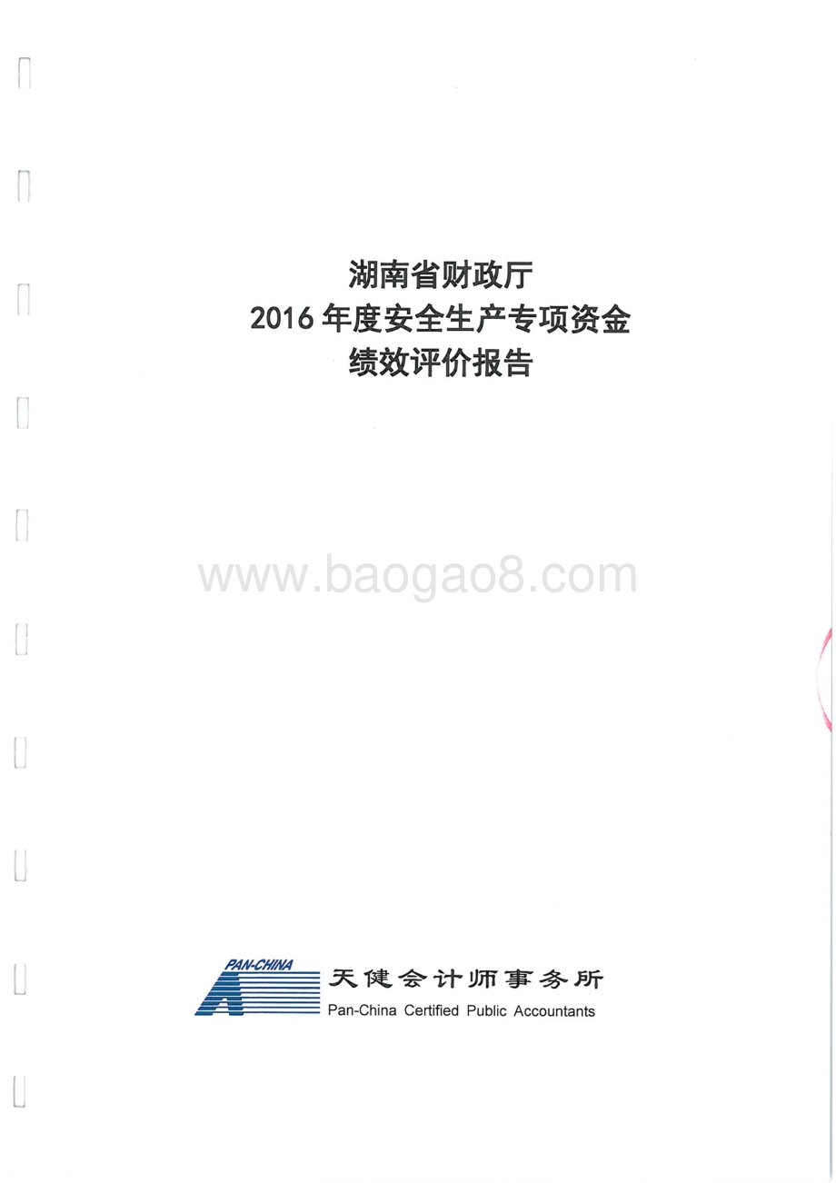 2016年安全生产专项绩效评价报告（湖南）.pdf_第1页