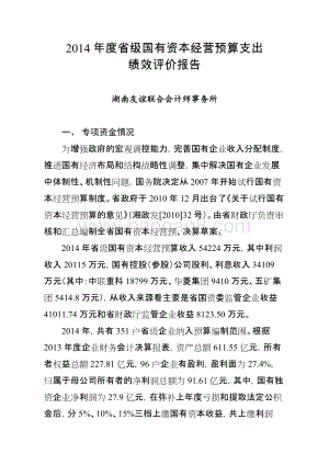 2014年度省级国有资本经营预算支出绩效评价报告（湖南）.doc