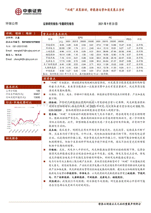 “双碳”政策驱动新能源运营加速发展正当时.pdf