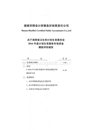 2016年计划生育服务专项绩效评价报告（湖南）.PDF