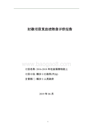2016-2018年社会保障和就业项目绩效评价报告.doc