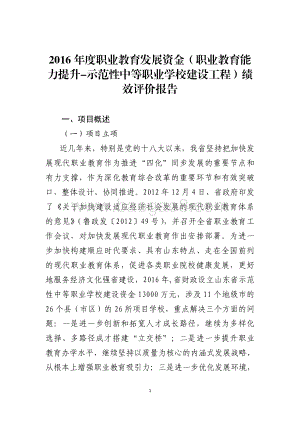2016年度职业教育发展资金（职业教育能力提升-示范性中等职业学校建设工程）绩效评价报告（山东）.pdf