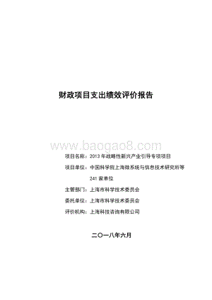 2013 年战略性新兴产业引导专项项目绩效评价报告.pdf