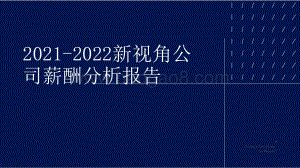 2021-2022新视角公司薪酬分析报告.pptx