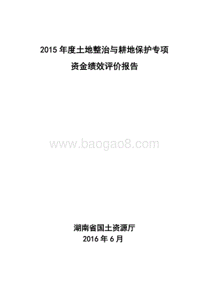 2015年度土地整治与耕地保护专项资金绩效评价报告（湖南）.doc