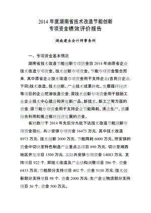 2014年度湖南省技术改造节能创新专项资金绩效评价报告.doc