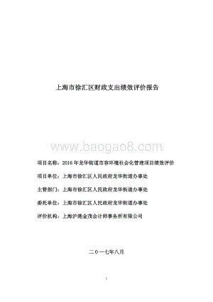 2016 年龙华街道市容环境社会化管理项目绩效评价.pdf