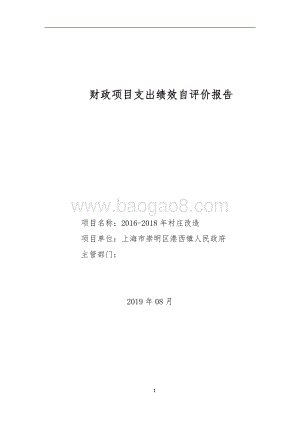 2016-2018年村庄改造项目绩效评价报告.doc