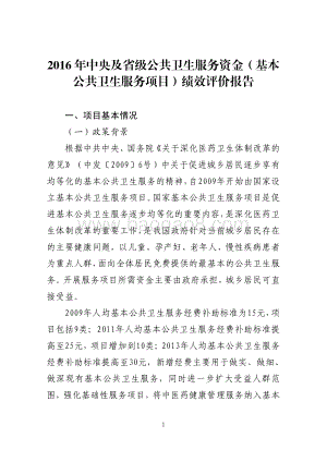 2016年公共卫生服务资金（基本公共卫生服务项目）绩效评价报告（山东）.pdf