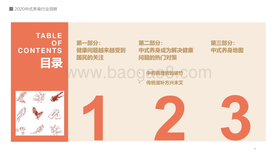 2020-2021中式养身行业洞察报告.pdf_第2页