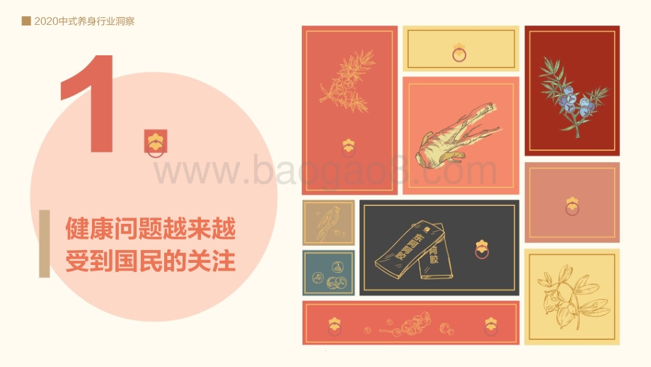 2020-2021中式养身行业洞察报告.pdf_第3页