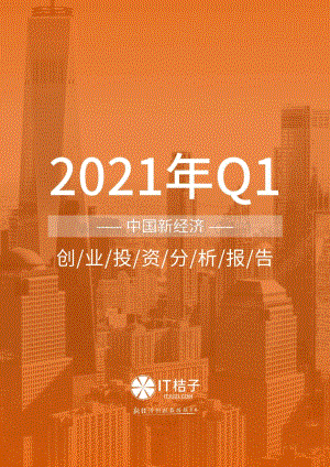 2021年Q1中国新经济创业投资分析报告.pdf
