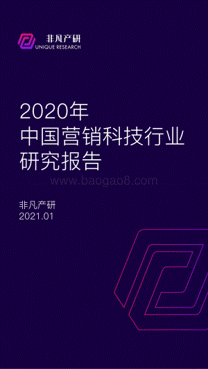 2020年中国营销科技行业研究报告.pdf