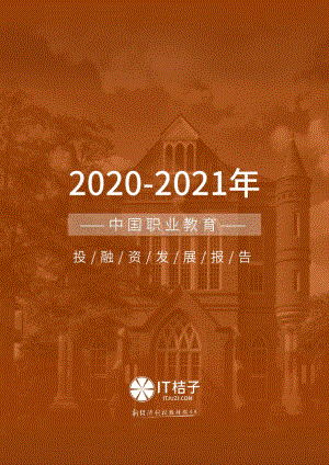 2020-2021年中国职业教育投融资发展报告.pdf
