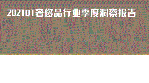 2021Q1奢侈品行业季度洞察报告.pdf