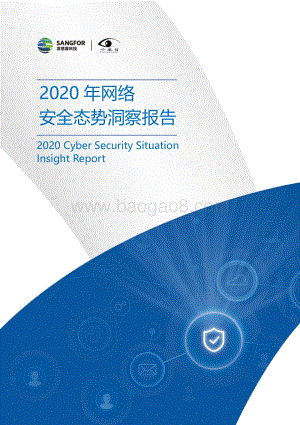 2020年网络安全态势洞察报告.pdf