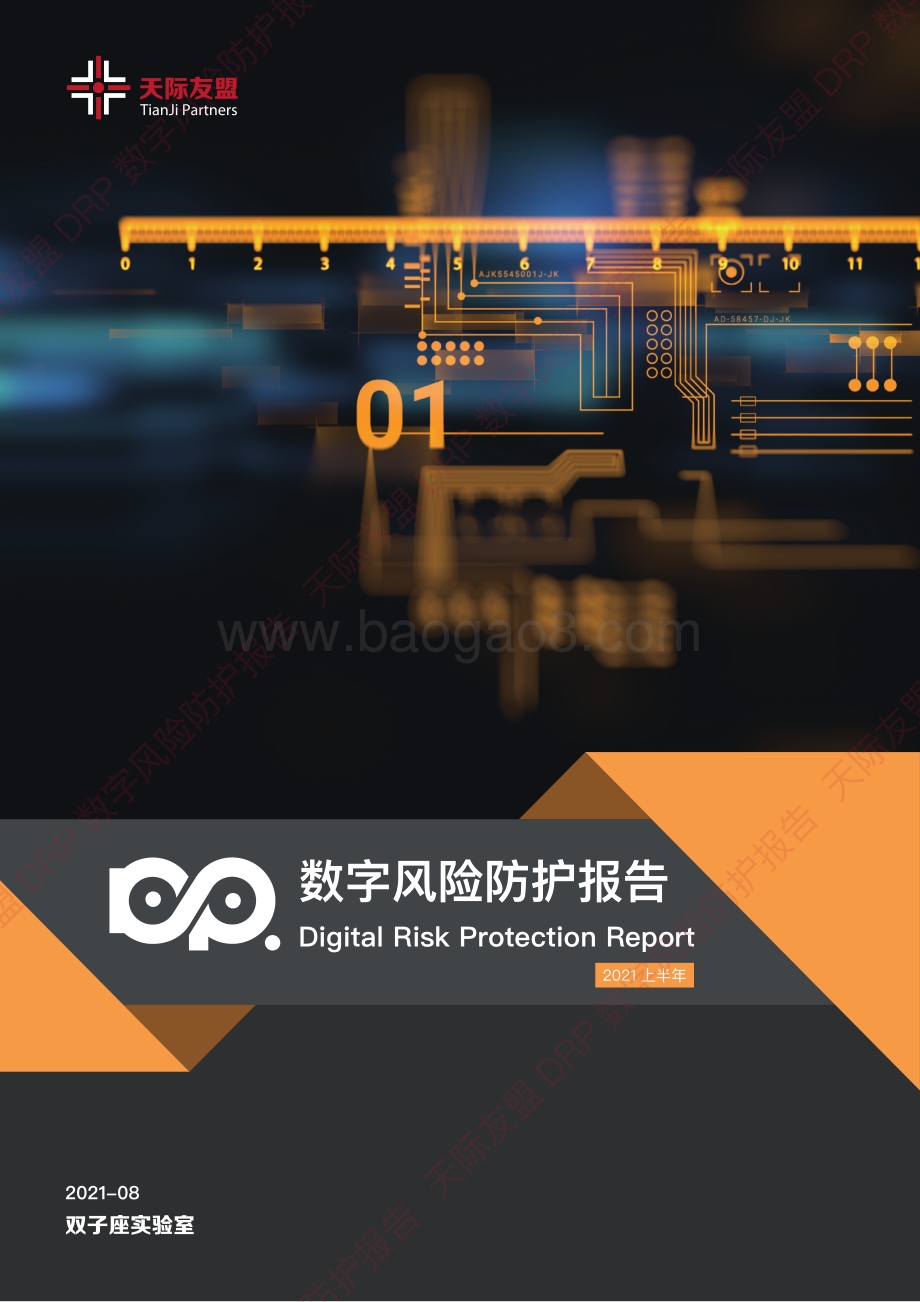 2021上半年数字风险防护报告.pdf_第1页