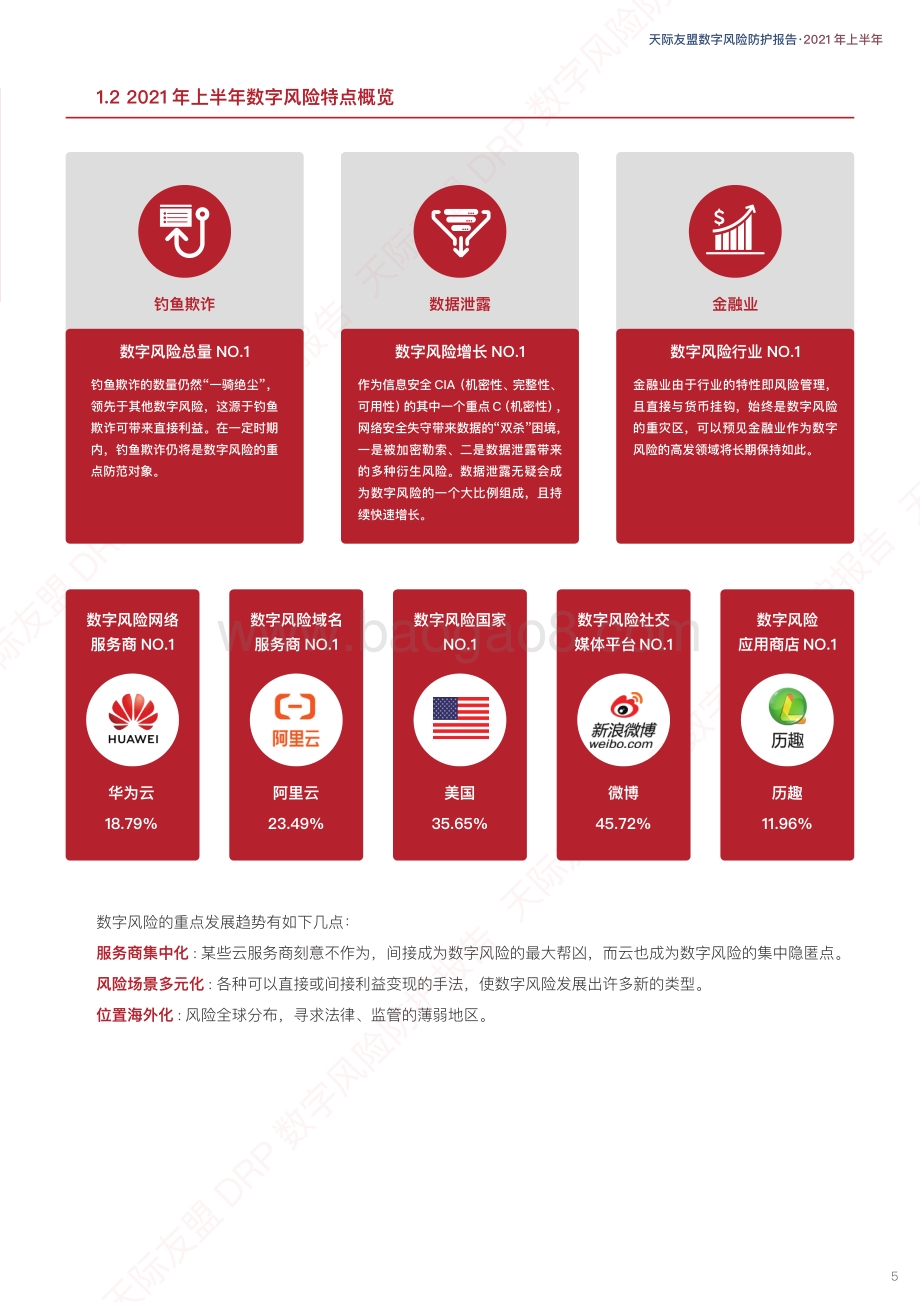 2021上半年数字风险防护报告.pdf_第5页