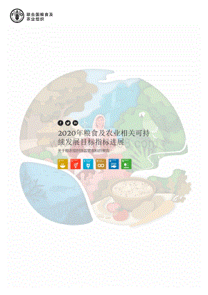2020年粮食及农业相关可持续发展目标指标进展.pdf