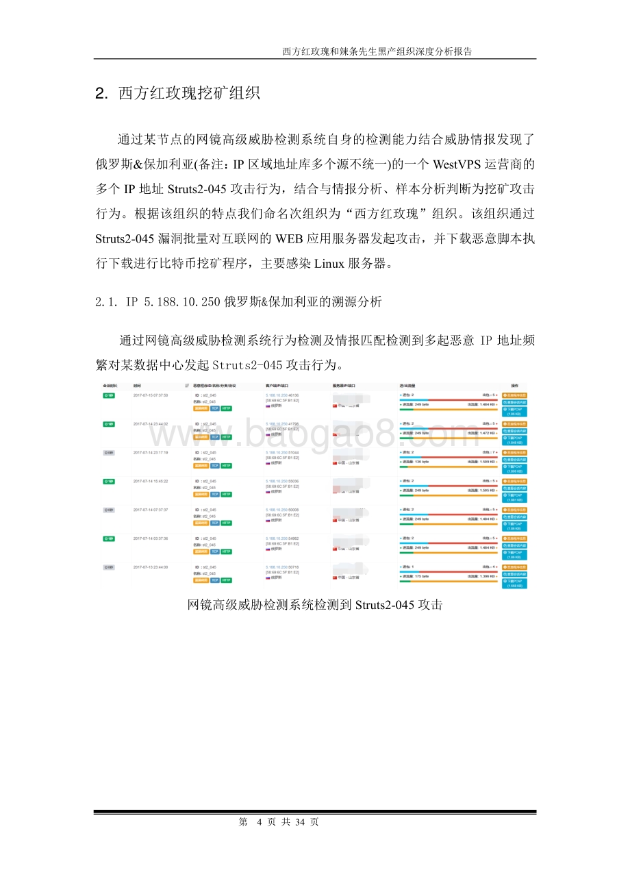 黑产组织深度分析报告：西方红玫瑰、辣条先生.pdf_第4页