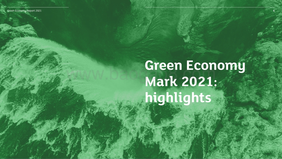2021年绿色经济标志报告（英文版）.pdf_第4页