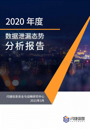 2020年度数据泄露态势分析报告.pdf