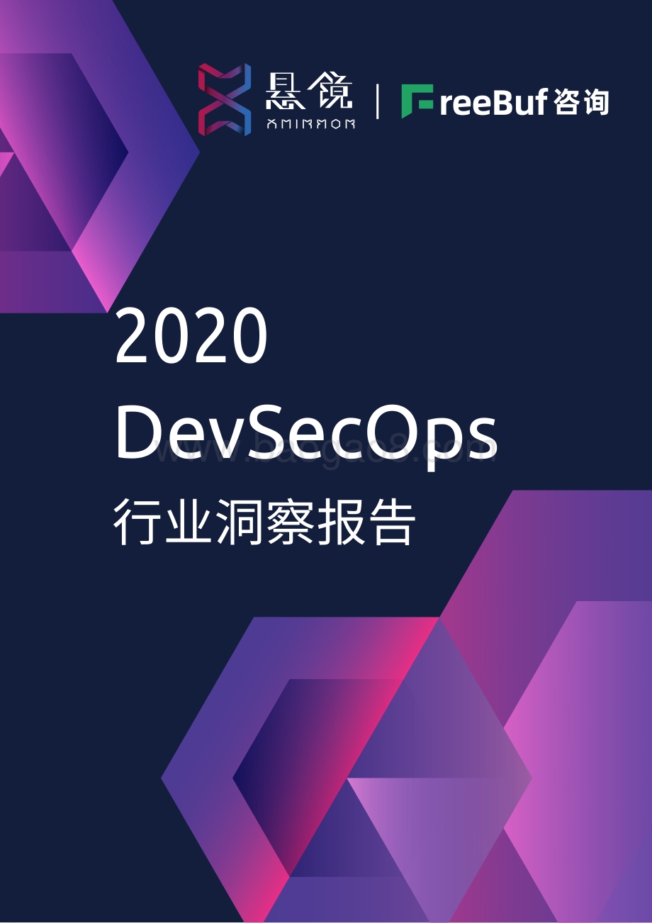 2020 DevSecOps行业洞察报告.pdf_第1页