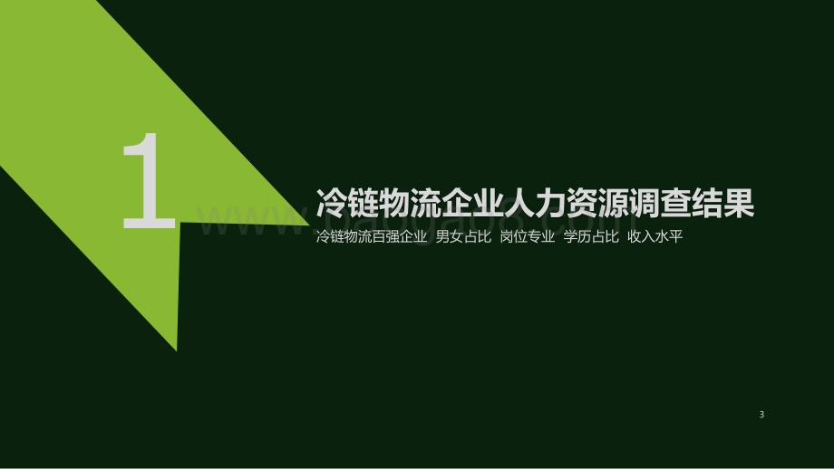 冷链物流企业人力资源报告.pdf_第3页