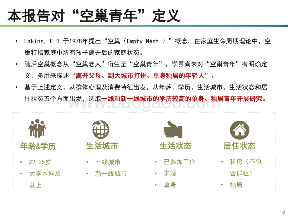 空巢青年研究报告.pdf_第2页