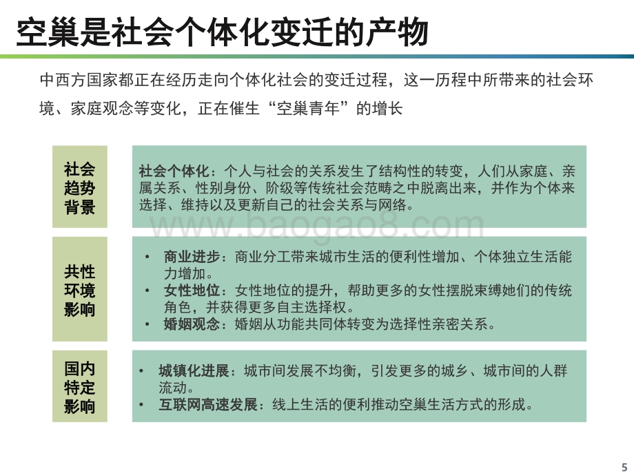空巢青年研究报告.pdf_第5页