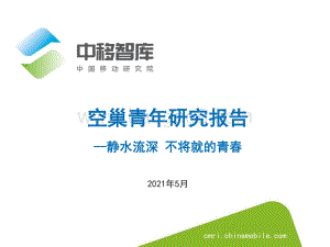 空巢青年研究报告.pdf