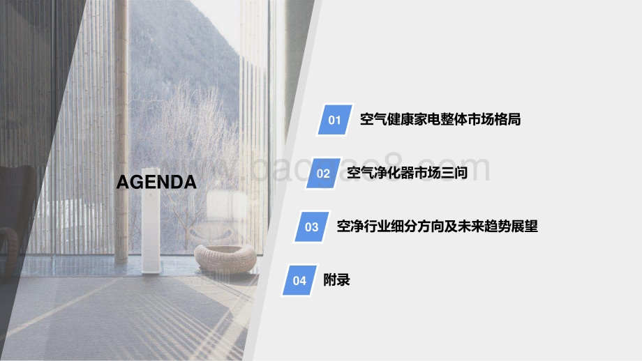 空气健康电器行业白皮书.pdf_第2页