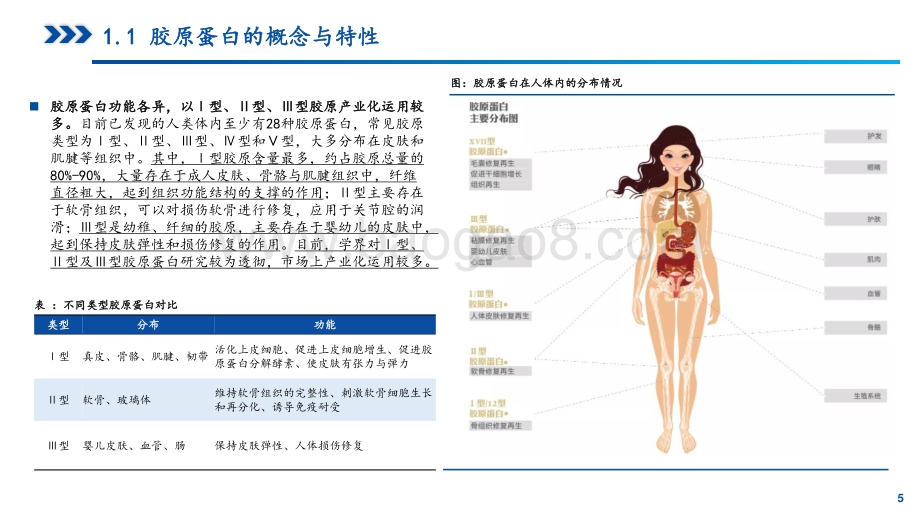 胶原蛋白行业研究报告：胶原蛋白风起颜值经济应用正当时.pdf_第5页