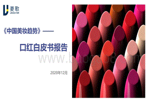 口红白皮书报告.pdf