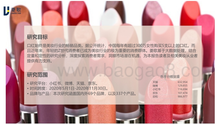 口红白皮书报告.pdf_第2页
