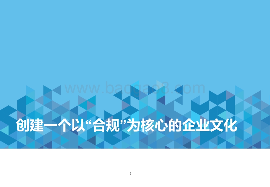 中国企业面临的人力资源合规性风险与应对策略.pdf_第5页