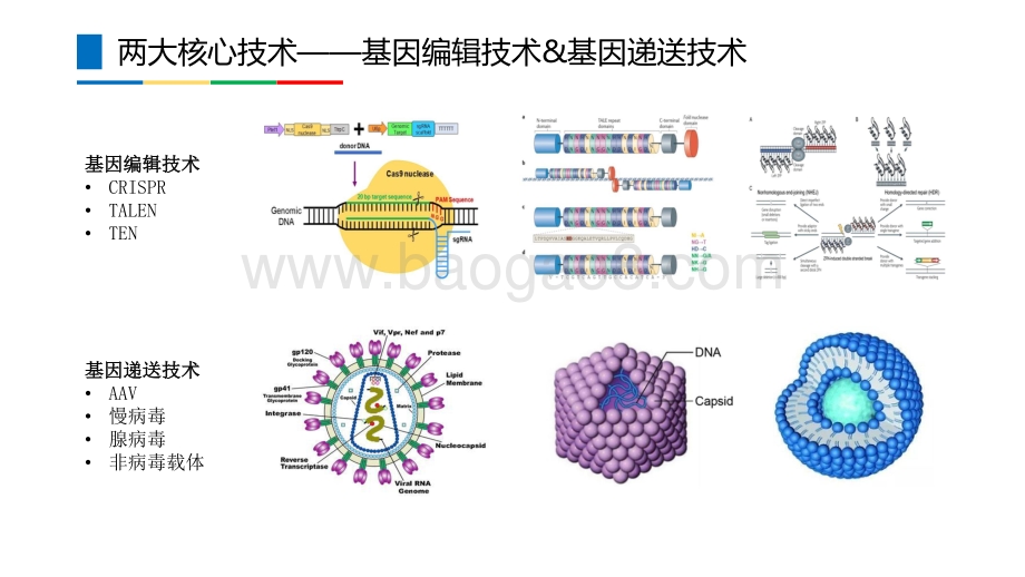 基因和细胞治疗CDMO：黄金赛道大有可为.pdf_第4页