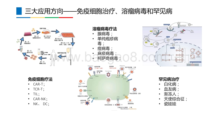 基因和细胞治疗CDMO：黄金赛道大有可为.pdf_第5页