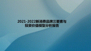 2021-2022新消费品牌三要素与投资价值模型分析报告.pptx
