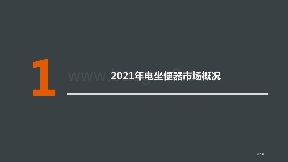 2021-2022年电坐便器市场解析与未来展望分析报告.pptx_第2页