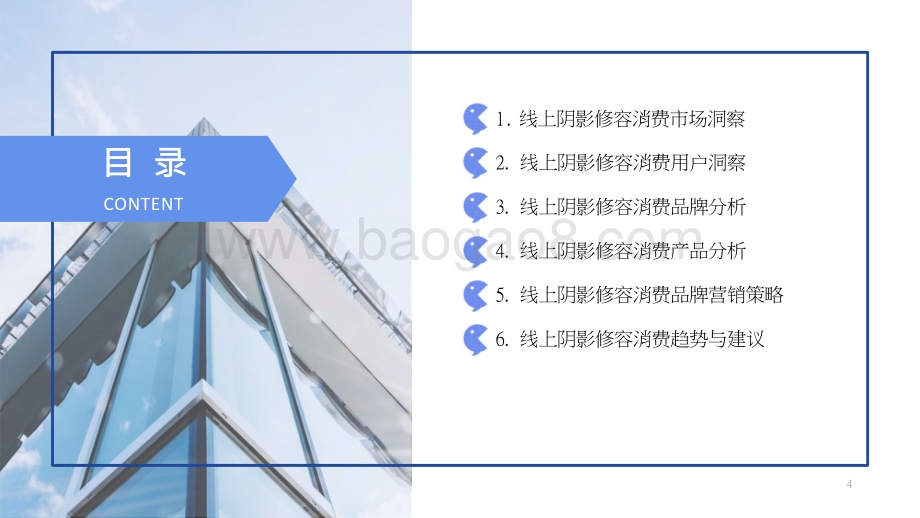 2021-2022线上阴影修容市场消费趋势分析报告.pptx_第2页